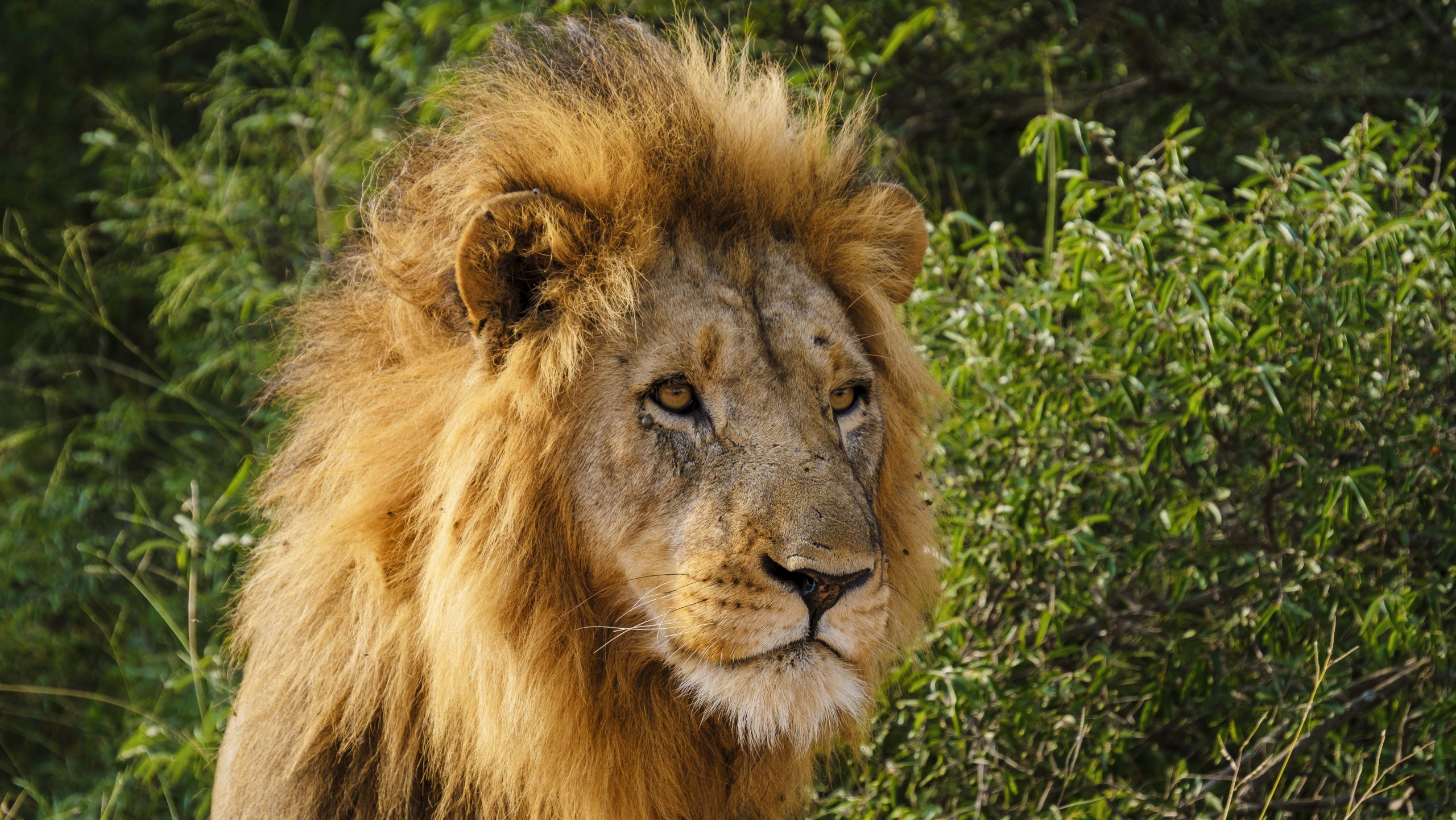 5 Day Safari Itinerary