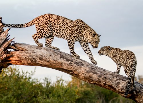 12 Days Exclusive Uganda